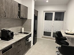 Stunning 2-Room Penthouse Lakeview W11