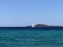 Beautiful Petrino 1880