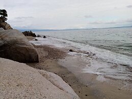 Beautiful Petrino 1880