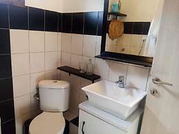 Beautiful Petrino 1880