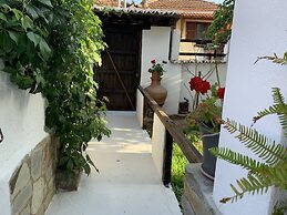 Beautiful Petrino 1880