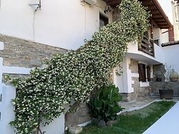 Beautiful Petrino 1880