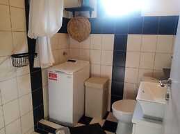 Beautiful Petrino 1880