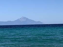 Beautiful Petrino 1880