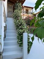 Beautiful Petrino 1880