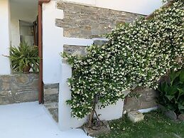 Beautiful Petrino 1880