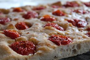 Ecolodge Selvitelle - Escape the Hectic and Submerge in the Nature of