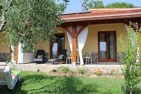 Ecolodge Selvitelle - Escape the Hectic and Submerge in the Nature of