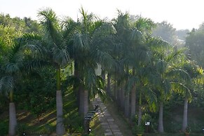 Sultan Bagh Ranthambore