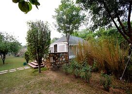 Sultan Bagh Ranthambore