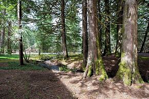 36SLL - Convenient - Economical - Kitchen - Sleeps 6