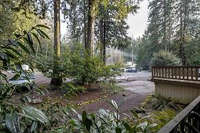 36SLL - Convenient - Economical - Kitchen - Sleeps 6