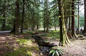 36SLL - Convenient - Economical - Kitchen - Sleeps 6