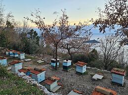 Amber's Place, Cosy House With Pool and sea Views