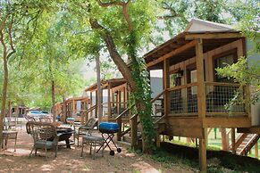 3 Son's Geronimo - Birdhouse Cabin