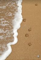 Turnberry Serviced Apartments