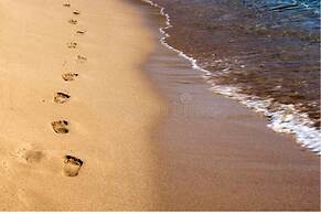 Turnberry Serviced Apartments