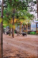 5 Son's Geronimo - Birdhouse Cabin