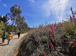 400 Year old 3-bedroom Farmhouse Central Portugal