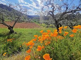 400 Year old 3-bedroom Farmhouse Central Portugal