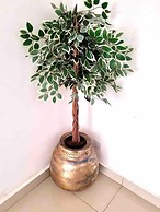 Beautiful 3-bed 2 Bath House at Spur Road Freetown