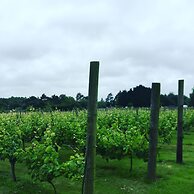 Come & Stay on a Real Norfolk Vineyard