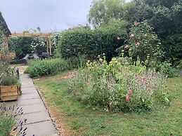 Come & Stay on a Real Norfolk Vineyard