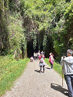 Hotel Rural El Molino