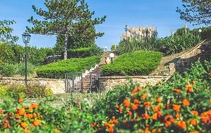 Villa Bentivoglio - Holiday Home With Swimming Pool