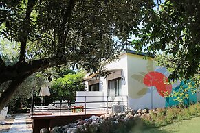 Enki Suess Alaçatı