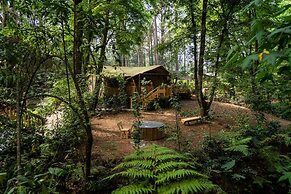 Casa del Roble Avandaro