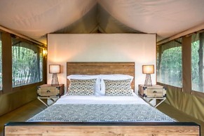 Lerai Safari Camp
