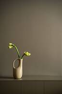 VISIONAPARTMENTS Nicolae Caramfil