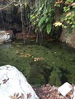 Despina studios and rooms