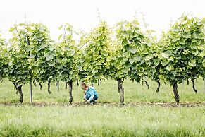 Weinzuhause
