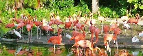 The Sunset Inn-South Miami