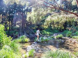 BIG4 Breeze Holiday Parks - Carnarvon Gorge