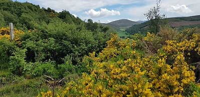 Stylish 3-bed Cottage Located in the Cairngorms