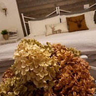 An Oasi for Traveller Close to the Lake and Lugano
