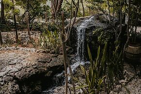 Le Soleil d'Or CaymanBrac