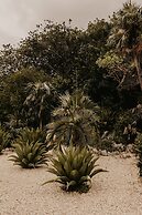 Le Soleil d'Or CaymanBrac