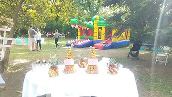 Domaine de la Nerthe