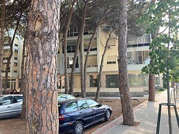 Charming Accommodation With Swimming Pool