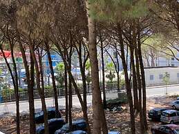 Charming Accommodation With Swimming Pool