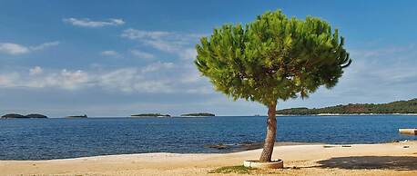 Cozy Apartment Valentino46 in Rovinj for 4 Guests - Very Central Locat