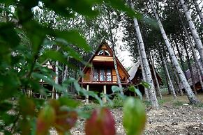 Fikri Atalay Konağı