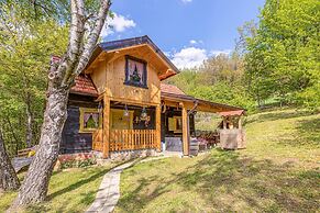 Chalet Birchwood With Whirlpool and Sauna