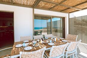 Blue Gres Villa Tinos