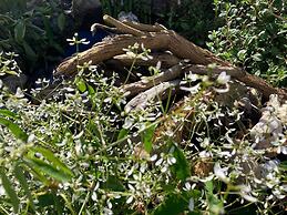 Charming Cabin Near Snowdonia National Park