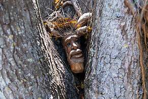 Kona Kai Resort and Gallery - Adults Only